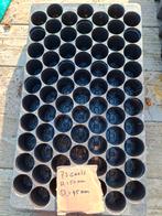 Zaaitrays  div. Maten - gebruikt -! OP IS OP, Ophalen of Verzenden, Zo goed als nieuw, Kweekbak