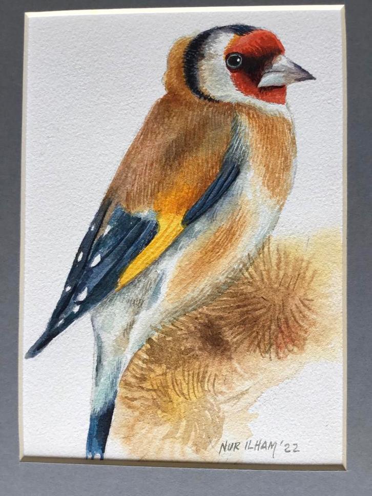 Aquarel Distelvink geschilderd door Nurilham, Dieren en Toebehoren, Vogels | Overige Vogels, Wildzangvogel