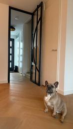 Stalen Deuren in alle soorten, kleuren en maten, Doe-het-zelf en Verbouw, Verzenden, 120 cm of meer, Nieuw, Buitendeur