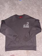 Snoopy Trui - Maat S, Ophalen of Verzenden, Zo goed als nieuw, Maat 36 (S), Grijs