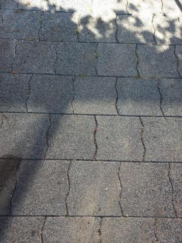 GRATIS Grindtegels 30x30 cm perfect voor tuin of terras! beschikbaar voor biedingen