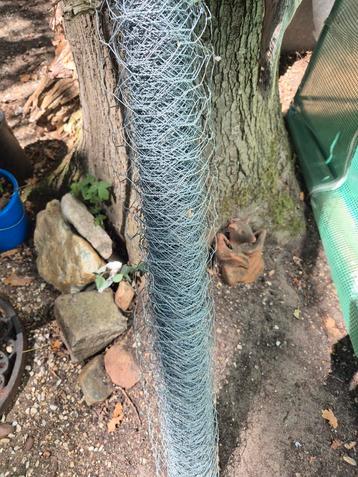 Gratis kippengaas gezocht voor aanleg groene tunnel beschikbaar voor biedingen