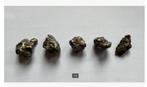 5 x meteoriet Siberië , pr.p.stuk, Ophalen of Verzenden, Mineraal