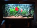 Trofis aquarium, Dieren en Toebehoren, Vissen | Aquaria en Toebehoren, Ophalen, Zo goed als nieuw, Leeg aquarium