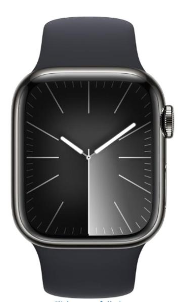 Apple Watch Series 9 4G 45mm Grafiet Rvs Sportband  beschikbaar voor biedingen