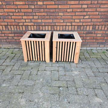 Bloembakken douglashout  beschikbaar voor biedingen