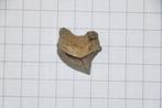 Haaientanden Boven-Krijt, Verzamelen, Mineralen en Fossielen, Ophalen of Verzenden, Fossiel