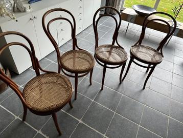 Set van 4 originele Thonet caféstoelen, mod Nr.14 1890–1910 beschikbaar voor biedingen