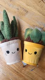 Schattige Knuffel Cactus Plantjes | take me home, Ophalen of Verzenden, Zo goed als nieuw, Overige typen