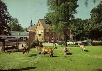 Hotel Meilink, Barchem [Gld.] - herten auto - 1972 gelopen beschikbaar voor biedingen