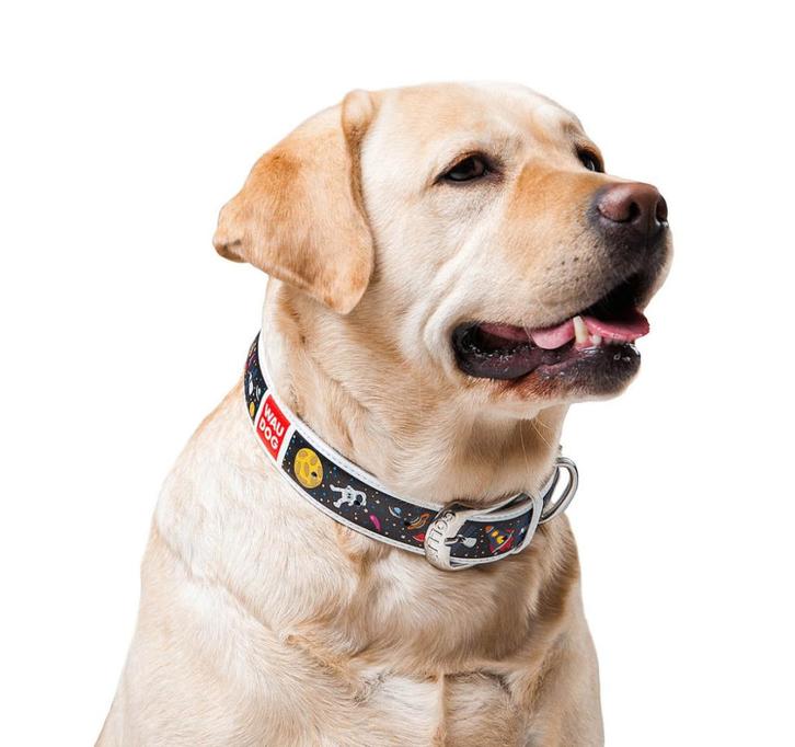 WAUDOG Nasa Lederen Halsband Wit Nekomtrek 44-58 cm -40%!!!, Dieren en Toebehoren, Hondenhalsbanden en Penningen, Nieuw, Handgemaakt