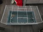 Konijn / Cavia kooi met drinkfles, Dieren en Toebehoren, Kooi, Gebruikt, Cavia, Ophalen