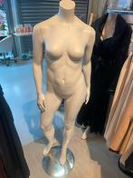 Dames Paspop en presentatietafel, Zakelijke goederen, Ophalen