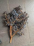 Dadeltak, Ophalen of Verzenden, Zo goed als nieuw