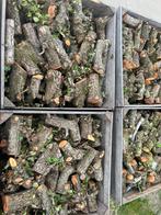 Openhaardhout, Minder dan 3 m³, Ophalen