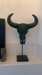 Kunststof schedel op plateau, Ophalen