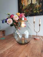 Terrarium met lamp, Minder dan 50 cm, Glas, Ophalen of Verzenden, Zo goed als nieuw