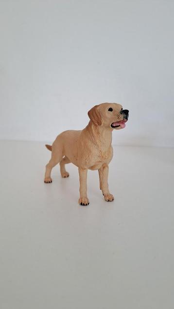 Papo hond beschikbaar voor biedingen