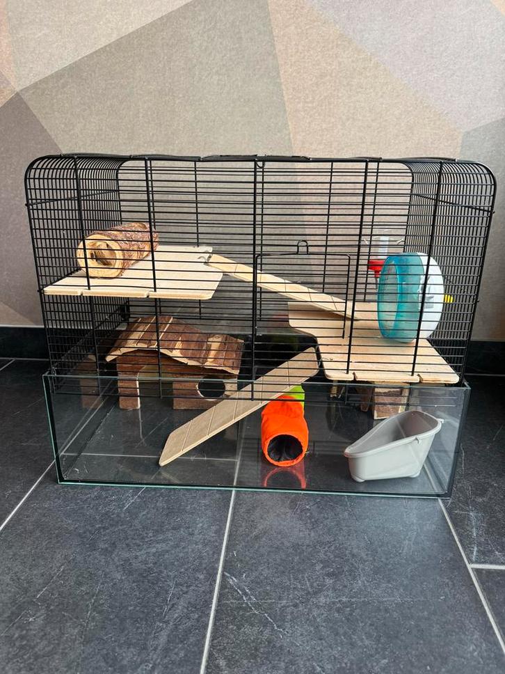 Te koop: Interzoo Vision 58 hamsterkooi, Dieren en Toebehoren, Knaagdieren en Konijnen | Hokken en Kooien, Gebruikt, Kooi, Minder dan 60 cm