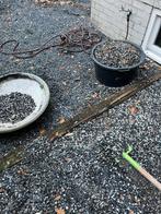 Sier grind, Tuin en Terras, Grind, Keien en Split, Ophalen