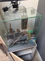Dennerle Nano Aquarium 60 l, Ophalen, Zo goed als nieuw, Leeg aquarium