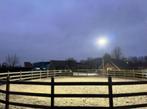 2 led lampen 500 watt voor Paardenbakverlichting, Doe-het-zelf en Verbouw, Bouwverlichting, Ophalen of Verzenden, Nieuw, 200 tot 500 watt