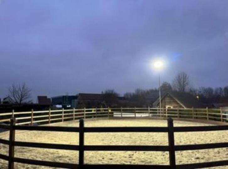 2 led lampen 500 watt voor Paardenbak Rijbak incl btw, Doe-het-zelf en Verbouw, Bouwverlichting, Nieuw, Lamp met armatuur, 200 tot 500 watt