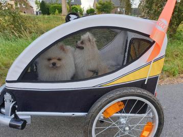 Honden fietskar beschikbaar voor biedingen