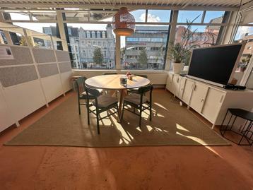 Mooi Vloerkleed beschikbaar voor biedingen