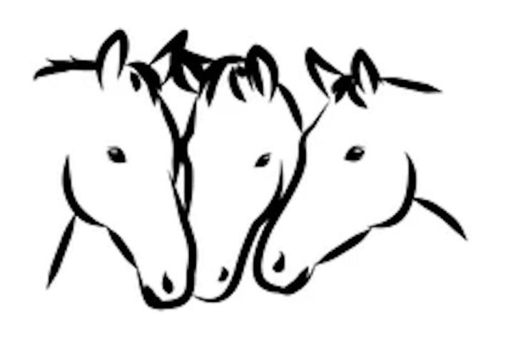 Plek voor 3 merries gezocht, Dieren en Toebehoren, Stalling en Weidegang, 2 of 3 paarden of pony's