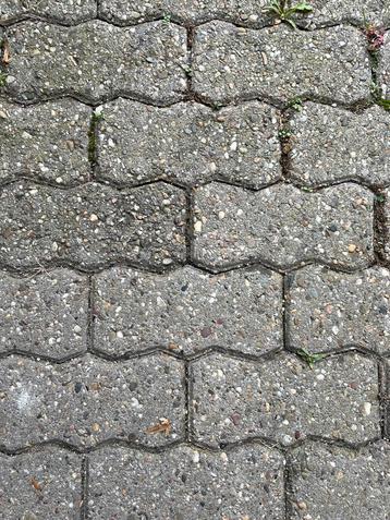 Gezocht klinkers beschikbaar voor biedingen