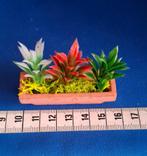 bloembak terracotta met 3 plantjes miniatuur poppenhuis 1:12, Poppenhuis, Info@creal-miniatures.com, Ophalen of Verzenden, Socren Sas