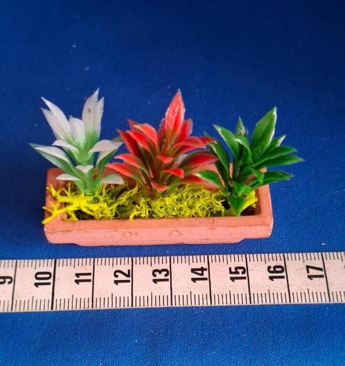 bloembak terracotta met 3 plantjes miniatuur poppenhuis 1:12, Verzamelen, Poppenhuizen en Toebehoren, Nieuw, Poppenhuis, Ophalen of Verzenden
