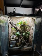 Exo terra 60x45x90 compleet, Dieren en Toebehoren, Ophalen, Zo goed als nieuw