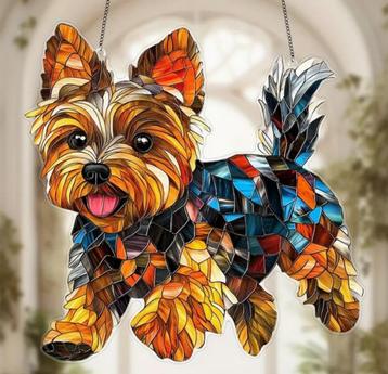 Raamhanger yorkshire terrier beschikbaar voor biedingen