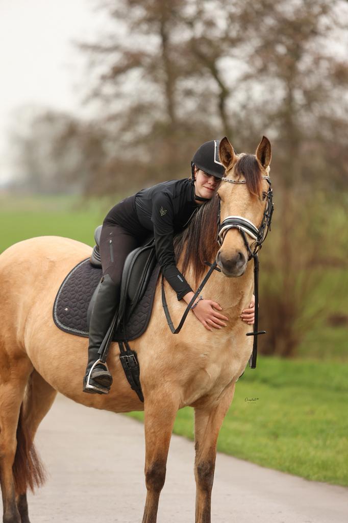 Drachtige PRE merrie uit 2022 met een gouden karakter, Dieren en Toebehoren, Paarden, Merrie, Zadelmak, 160 tot 165 cm, 3 tot 6 jaar