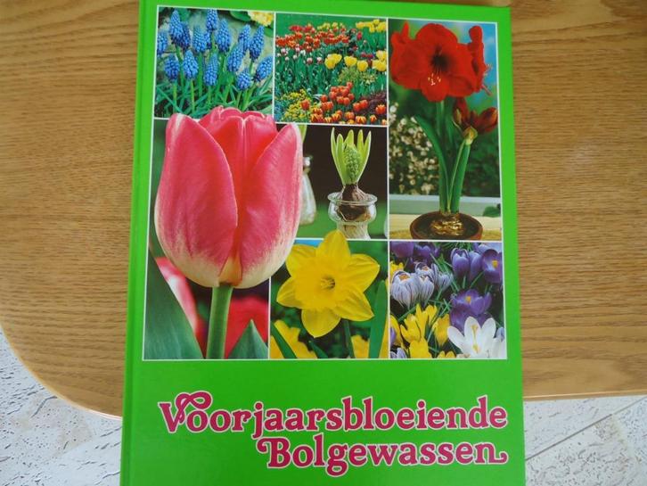 Bloembollen - Voorjaarsbloeiende bolgewassen - nieuw, Boeken, Wonen en Tuinieren, Ophalen of Verzenden