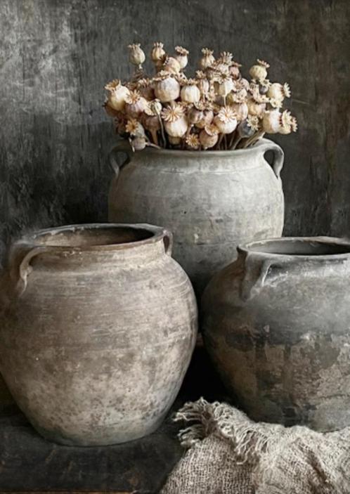 Canvas prent papaverpot, stoer en sober, Huis en Inrichting, Woonaccessoires | Wanddecoraties, Nieuw, Ophalen of Verzenden