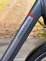 Pegasus Ravenna E8F elektrische fiets met BOSCH middenmotor, Ophalen of Verzenden, Zo goed als nieuw, 50 km per accu of meer, Overige merken