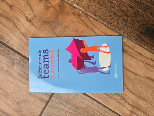 Astrid Vermeer - Zelfsturende teams in de praktijk, Boeken, Wetenschap, Zo goed als nieuw, Sociale wetenschap, Ophalen of Verzenden
