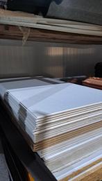 23 Plafondplaten (ander merk dan Agnes) 1200x600, Doe-het-zelf en Verbouw, Platen en Panelen, Ophalen