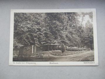 Ginneken - Breda - Uitspanning Mastbosch beschikbaar voor biedingen