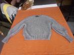 H.E.T Maat s, Kleding | Dames, Truien en Vesten, Ophalen of Verzenden, Zo goed als nieuw, Maat 38/40 (M)