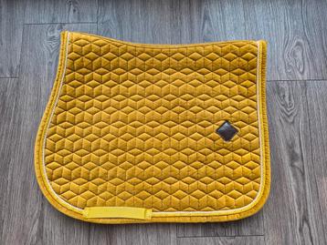 Kentucky dekje mustard spring  beschikbaar voor biedingen