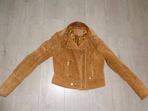 bruine suede dames bikerjas van Goosecraft, maat S, Kleding | Dames, Jassen | Winter, Gedragen, Maat 36 (S), Bruin, Ophalen of Verzenden