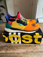 Pharrell Williams x Adidas Solar Hu Glide, Nieuw, Ophalen of Verzenden, Overige kleuren