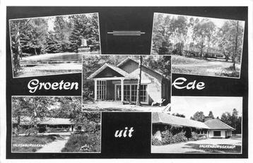 (387-087-003) Ede Groeten uit beschikbaar voor biedingen