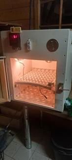 Broedmachine, Maart, Geslacht onbekend