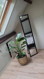 Passpiegel - 35x155 cm, Huis en Inrichting, Woonaccessoires | Spiegels, Ophalen, Minder dan 50 cm, Zo goed als nieuw, 150 tot 200 cm
