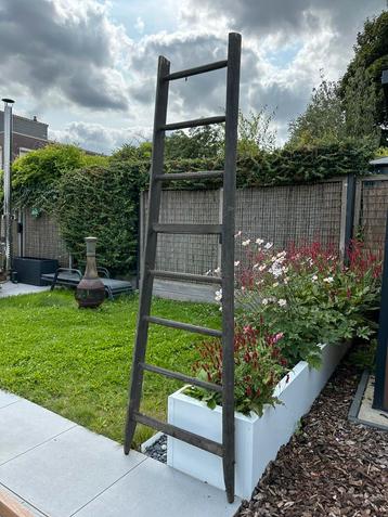 Oude houten (pluk)ladder Jean Grotsch Luik beschikbaar voor biedingen